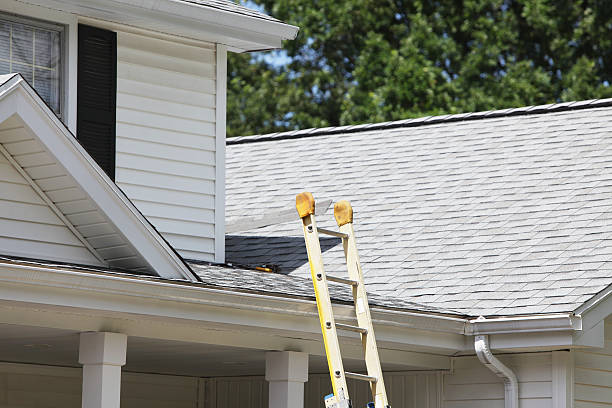 Best Construction Debris Removal  in Iron River, MI